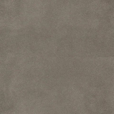 Brinzio Birch