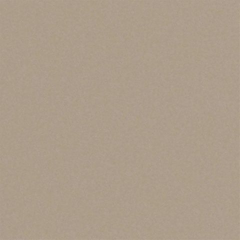 Brinzio Shell