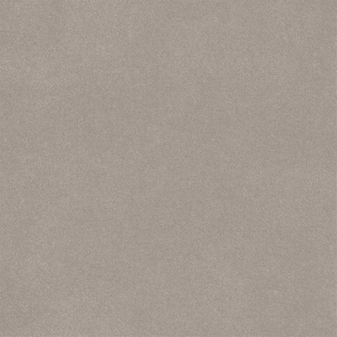 Brinzio Mink