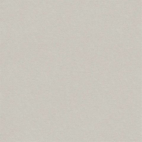 Brinzio Platinum