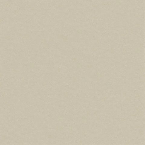 Brinzio Parchment
