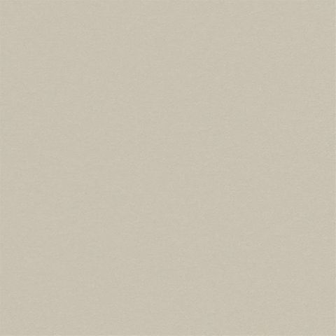Brinzio Oyster