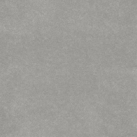 Brinzio Silver