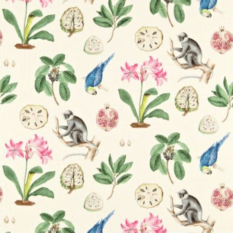 Curios Fabric Capuchins Chintz