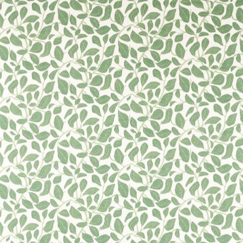 Sweet Bay Print Forest