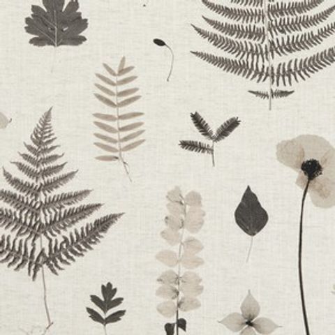 Herbarium Charcoal/Natural Upholstery Fabric
