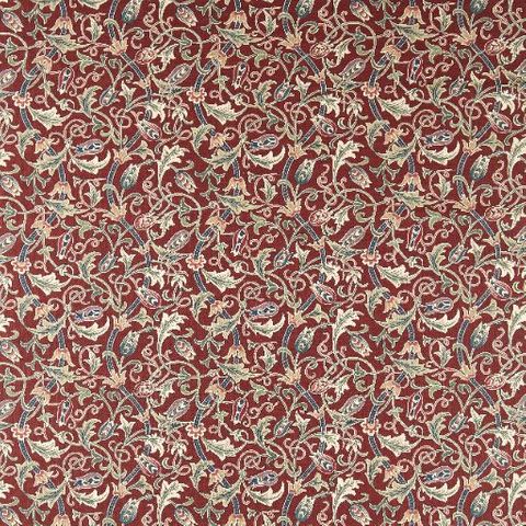 Scrolling Tulip Plum