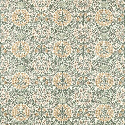 Daisy & Oak Thyme/Weld