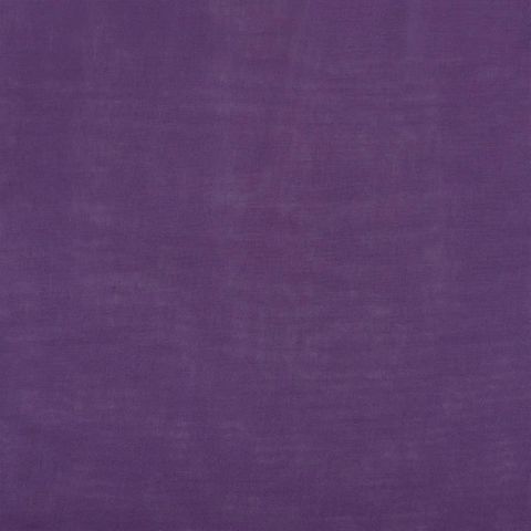 Bellavista Violet