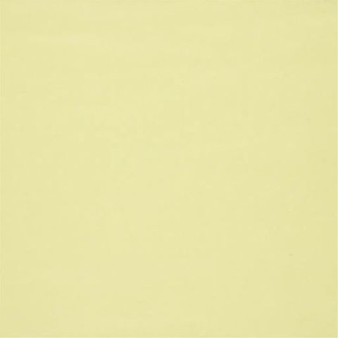 Aquarelle Citrus