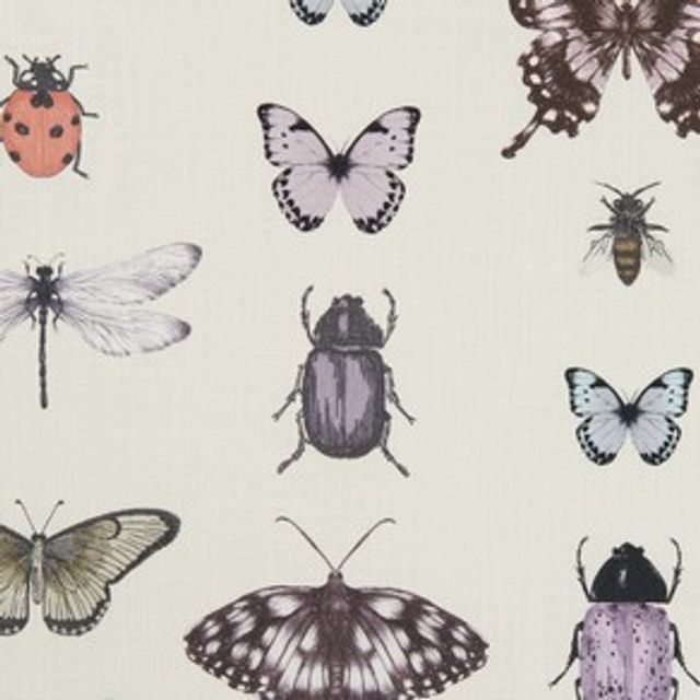 Papilio Heather/Ivory