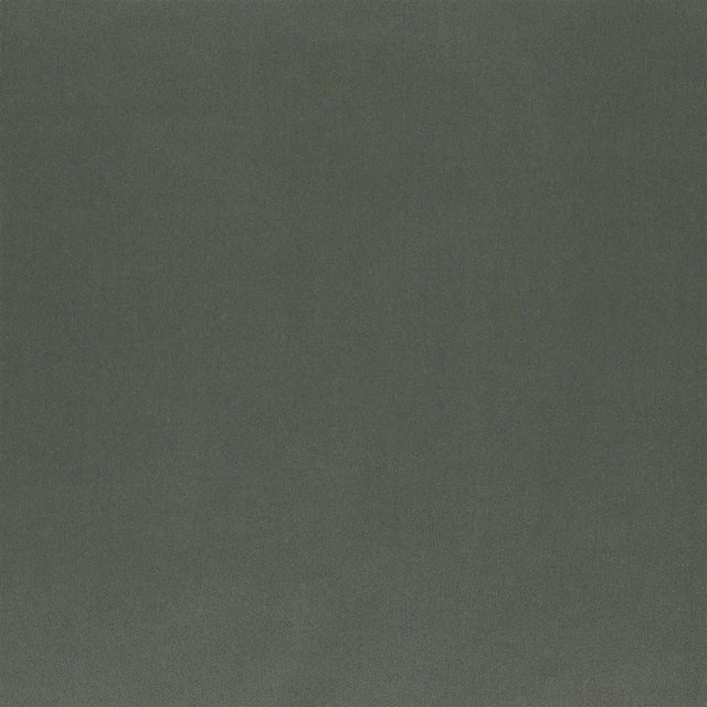 Designers Guild CARA (Wide Width) Tanara Slate