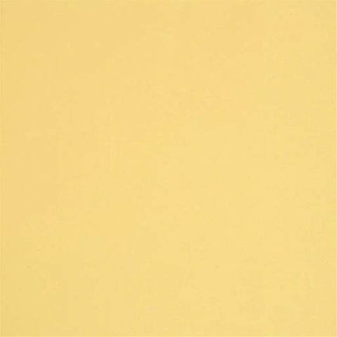 Tanara Gold