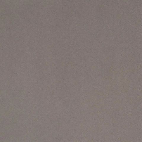 Tanara Plum