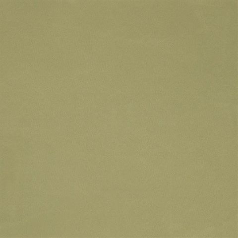 Cara Pistachio