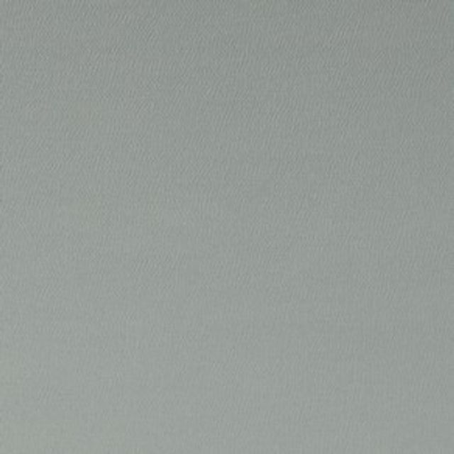 Clarke and Clarke Spectrum Spectrum Birch