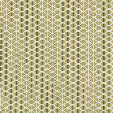 Raye Pistachio