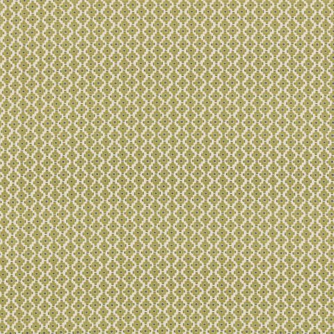 Rory Pistachio