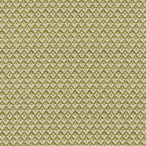 Enya Olive