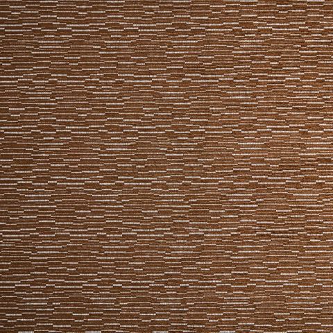Strata Ginger