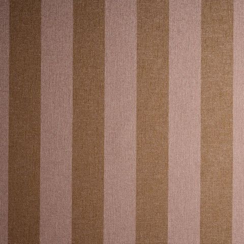 Sanvi Plaster