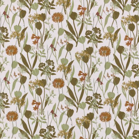 Niwa Olive