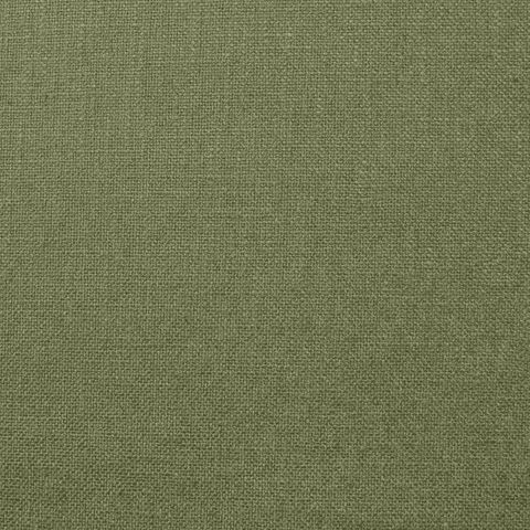 Olenka Olive