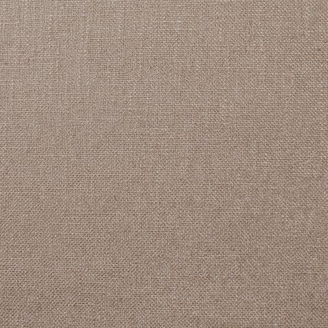Olenka Plaster