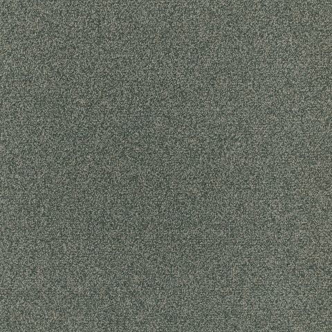 Kokoro Spruce