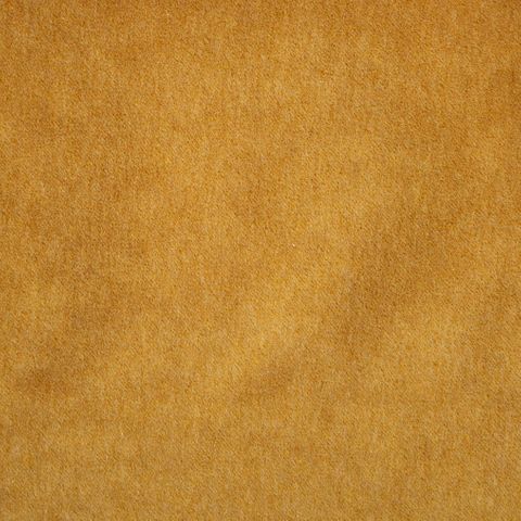 Savona Mustard