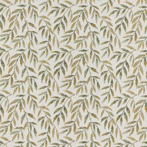 Hiroshi Pistachio