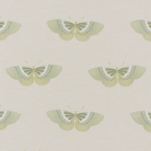 Kano Pistachio