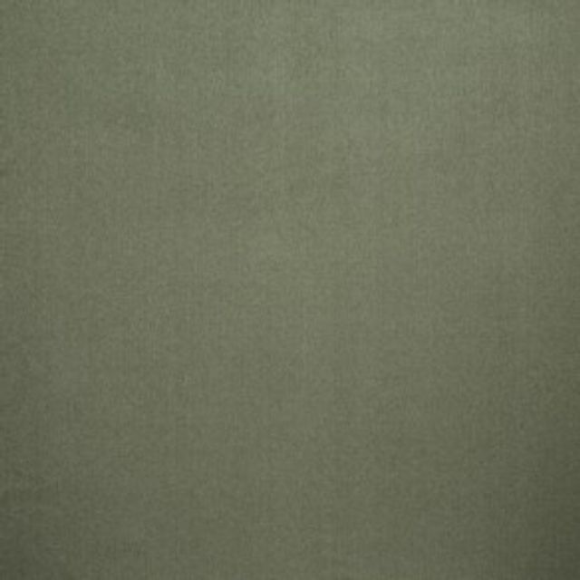 iLiv Forever Spring Canvas Fennel