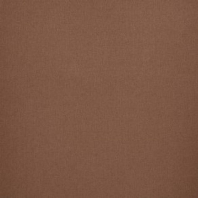 iLiv Forever Spring Canvas Henna Upholstery Fabric