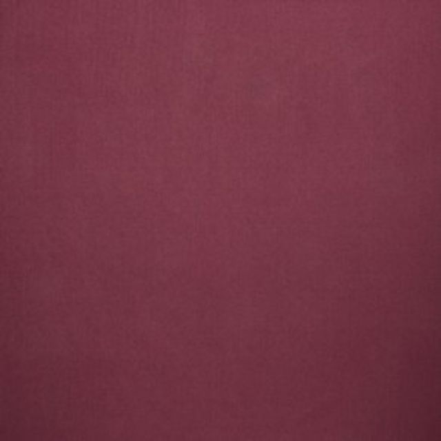 iLiv Forever Spring Canvas Raspberry