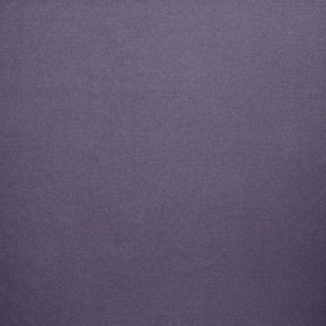 Canvas Violet