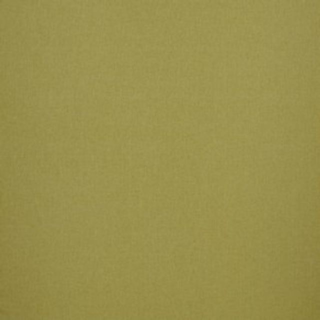 iLiv Forever Spring Canvas Willow