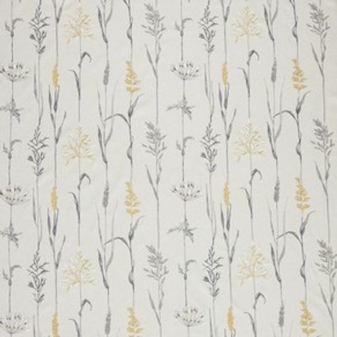 Field Grasses Buttercup