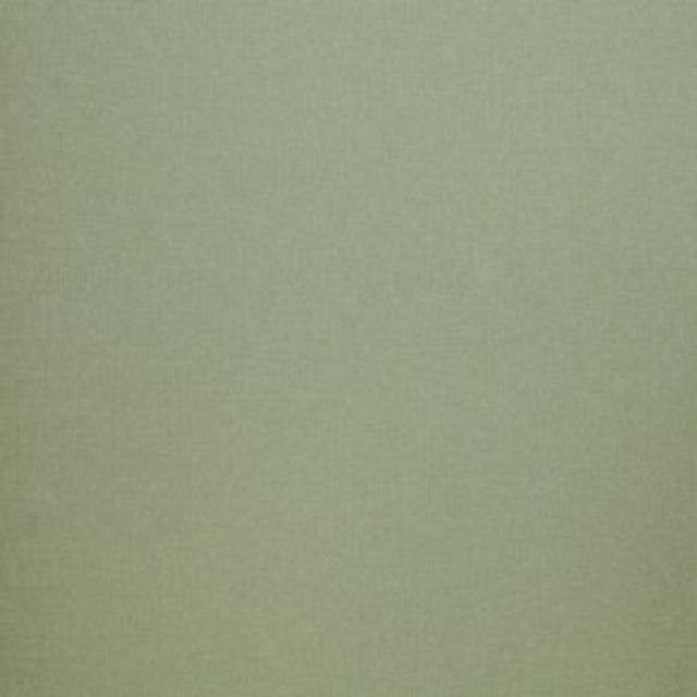 iLiv Forever Spring Canvas Mint