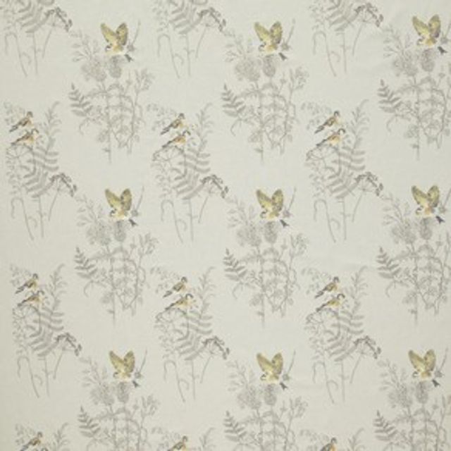 iLiv Forever Spring Gold Finch Buttercup