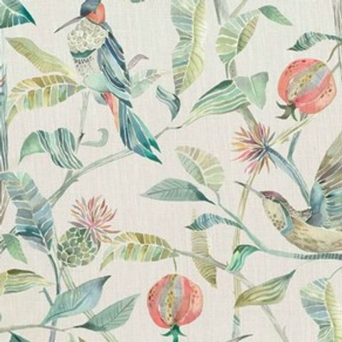 Colyford Pomegranate