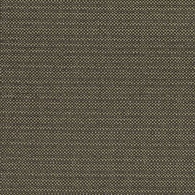 Clarke and Clarke Avalon Kauai Charcoal