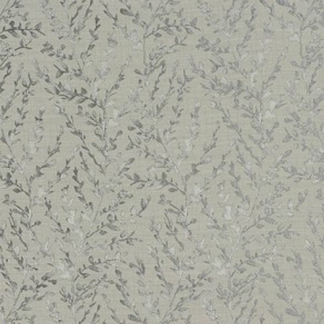 Fryetts Acacia Fabio Dove