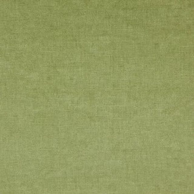 Fiora Grass