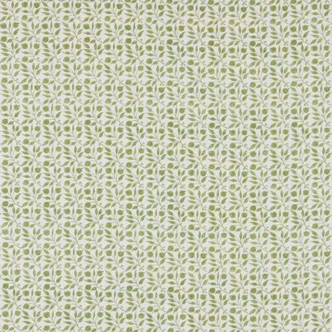 Rosehip Thyme Upholstery Fabric