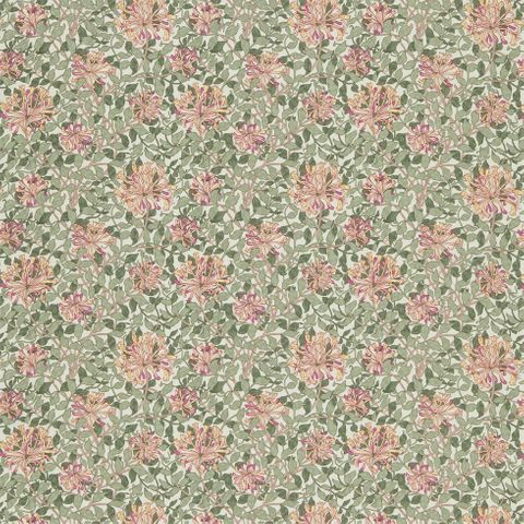 Honeysuckle Chalk/Yellow Morris