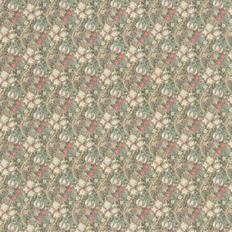 Golden Lily Minor Artichoke/Vanilla