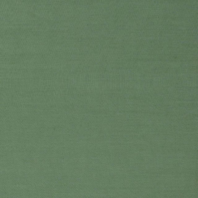 Ruskin Evergreen Upholstery Fabric