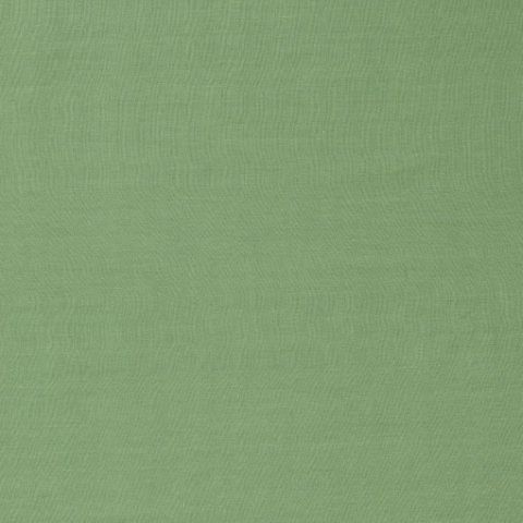 Ruskin Forest Upholstery Fabric