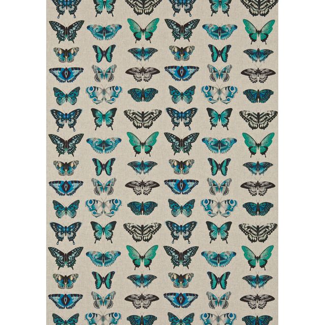 Harlequin Amazilia Papilio Lagoon / Indigo / Emerald